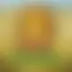 Zagraj Mega Moolah z Games Global w {"id":40,"name":"Starda","design":{"logo":"starda-logo.LsaqNO.svg","favicon":"starda-favicon.1RO6yQ.png","banner_poker":"starda-poker.8uylPi.webp","banner_mobile":"starda-mobile.NaeeD3.webp","block_bg_color":"#000000","image_bg_color":"#333","banner_bg_color":"#000000","block_text_color":"#ffffff","primary_bg_color":"#20212A","banner_text_color":"#fff","footer_logos_type":"white","block_round_radius":"0.5rem","primary_text_color":"#ffffff","button_round_radius":"0.5rem","banner_welcome_bonus":"starda-welcome-bonus.C6oLFz.webp","primary_button_bg_color":"#E92138","primary_button_text_color":"#fff","secondary_button_bg_color":"#a1a1aa","secondary_button_text_color":"#09090b"},"created_at":"2025-05-14T09:25:22.000000Z","updated_at":"2025-05-14T09:25:22.000000Z","deleted_at":null}