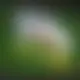 Zagraj Let It Ride z Playtech w {"id":40,"name":"Starda","design":{"logo":"starda-logo.LsaqNO.svg","favicon":"starda-favicon.1RO6yQ.png","banner_poker":"starda-poker.8uylPi.webp","banner_mobile":"starda-mobile.NaeeD3.webp","block_bg_color":"#000000","image_bg_color":"#333","banner_bg_color":"#000000","block_text_color":"#ffffff","primary_bg_color":"#20212A","banner_text_color":"#fff","footer_logos_type":"white","block_round_radius":"0.5rem","primary_text_color":"#ffffff","button_round_radius":"0.5rem","banner_welcome_bonus":"starda-welcome-bonus.C6oLFz.webp","primary_button_bg_color":"#E92138","primary_button_text_color":"#fff","secondary_button_bg_color":"#a1a1aa","secondary_button_text_color":"#09090b"},"created_at":"2025-05-14T09:25:22.000000Z","updated_at":"2025-05-14T09:25:22.000000Z"}